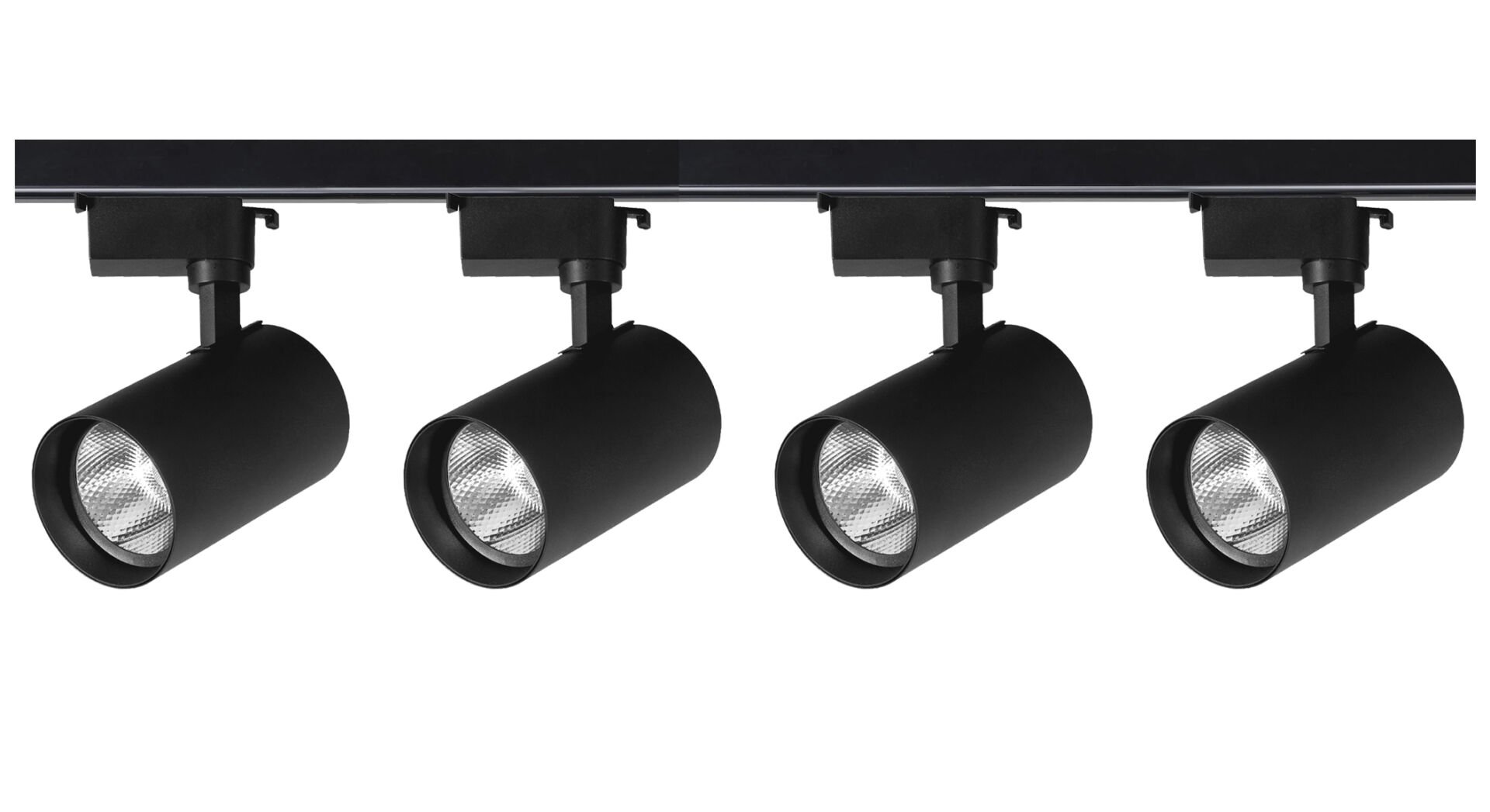 Armatür Ray Spot Takımı 4'lü 30W Siyah 1 Metre