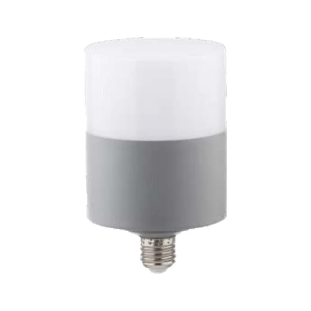 Zmr 40w Oval Dekoratif T-Bulb Led Ampul E27