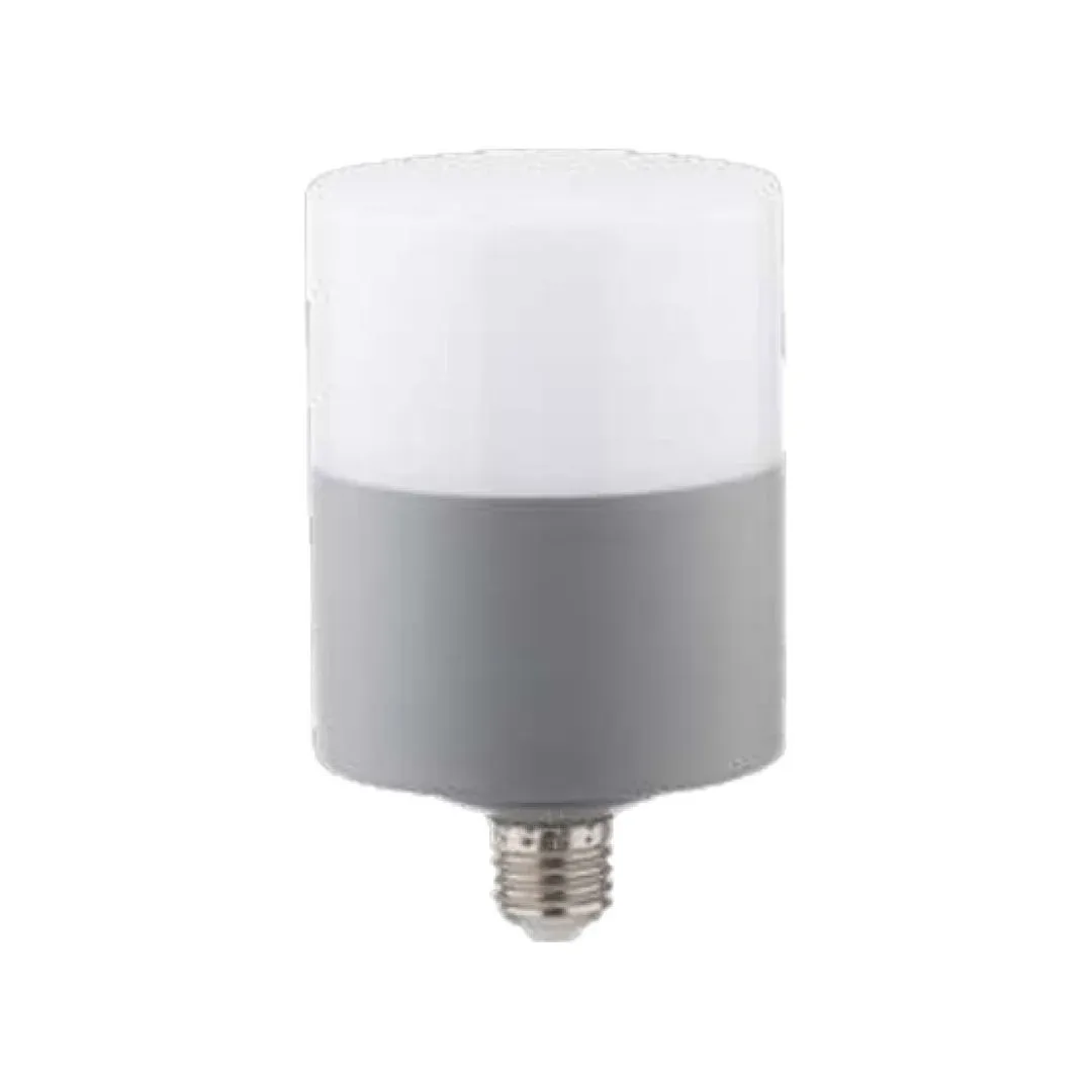 Zmr 30w Oval Dekoratif T-Bulb Led Ampul E27