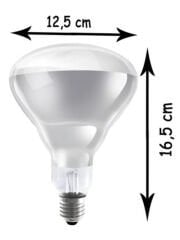 Osram Ledvance Infrared 250w E27 Şeffaf Isı Ampulü Kızılötesi Isıtıcı Lamba