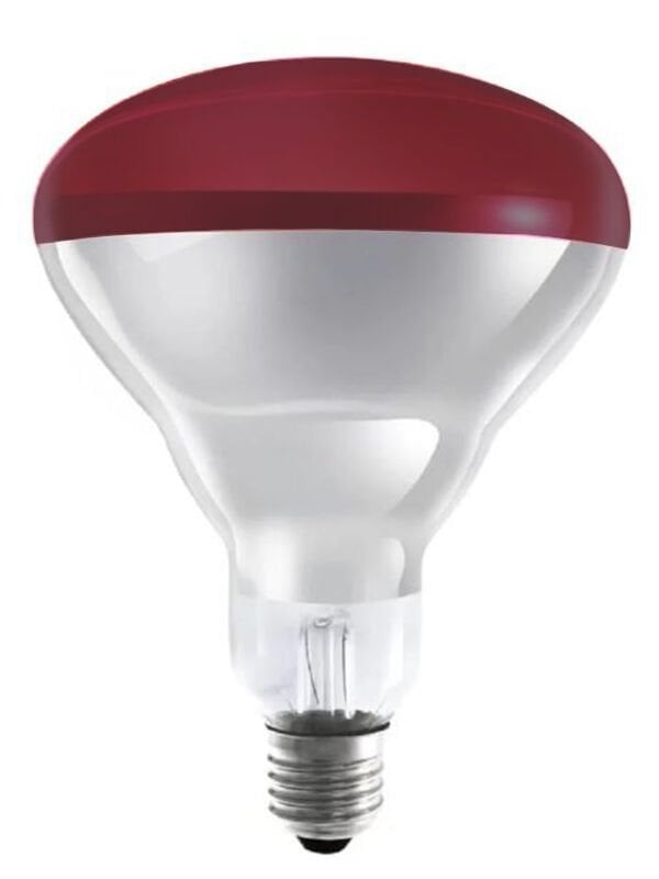 Alia Luce 150w E27 Kırmızı Isı Ampulü Kızılötesi Isıtıcı Lamba