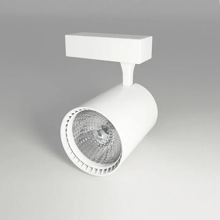 Ycl 15w Led Ray Spot