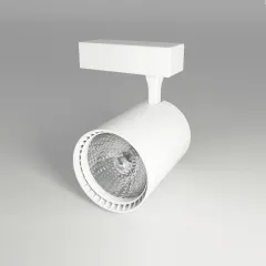 Ycl 15w Led Ray Spot