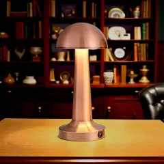 Noas Atina Bronz Renk Şarj Edilebilir Led Dokunmatik Masa Lambası 3 Renk Modu