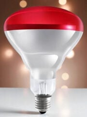 Osram Ledvance Infrared 150w E27 Kırmızı Isı Ampulü Kızılötesi Isıtıcı Lamba