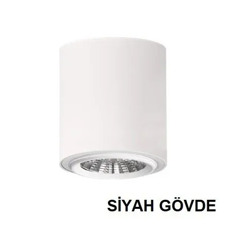 Lamptime Sıva Üstü Cob Downlight 20w Yuvarlak Siyah Gövde