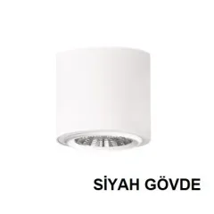 Lamptime Sıva Üstü Cob Downlight 20w Yuvarlak Siyah Gövde